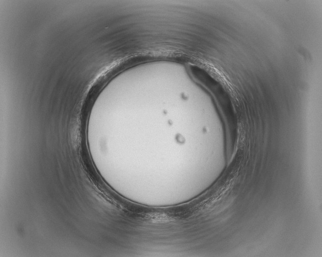 X0000115770392200912041436