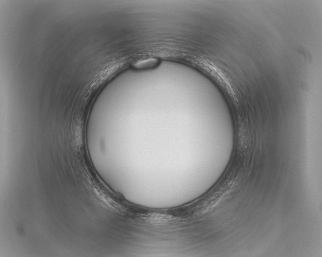 X0000115770393200912041436