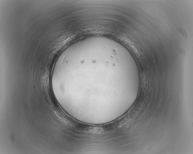 X0000115770398200912041435