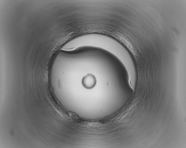 X0000115770401200912041435