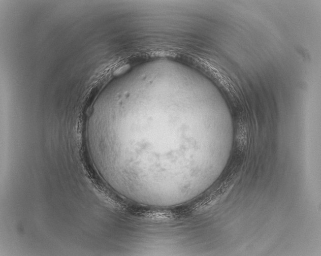 X0000115770402200912041435