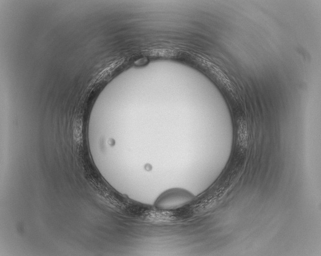 X0000115770403200912041435