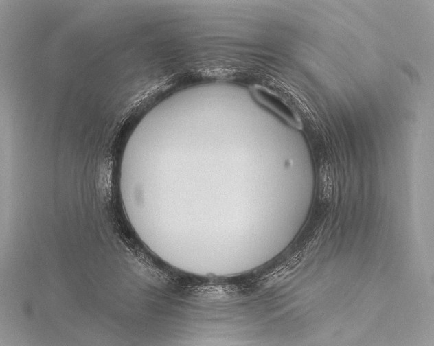 X0000115770404200912041435