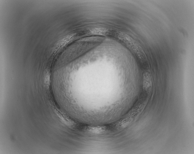 X0000115770405200912041435