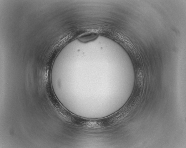 X0000115770406200912041435