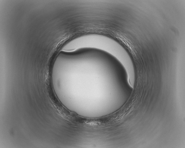 X0000115770407200912041435