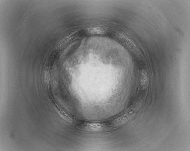 X0000115770409200912041435