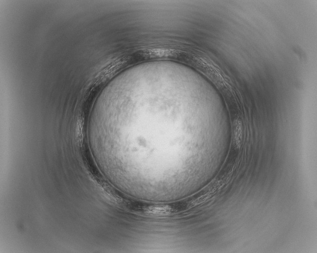 X0000115770410200912041435