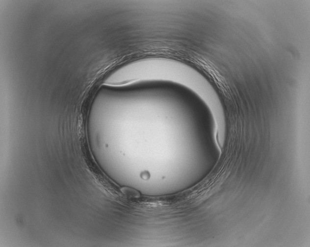 X0000115770411200912041435