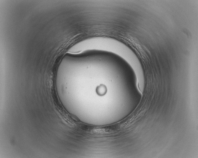 X0000115770413200912041435