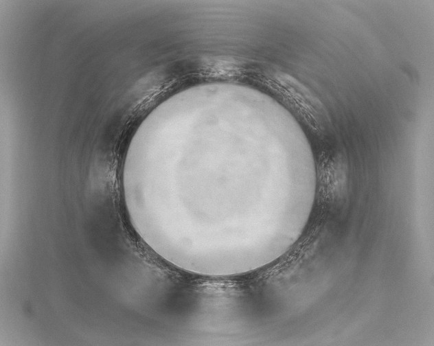 X0000115770415200912041435