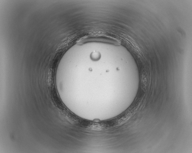 X0000115770416200912041435