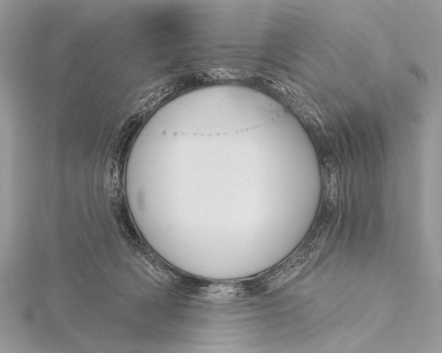 X0000115770418200912041435