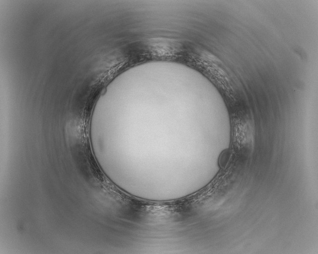 X0000115770419200912041435