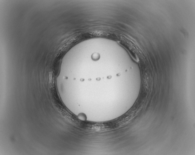 X0000115770420200912041435