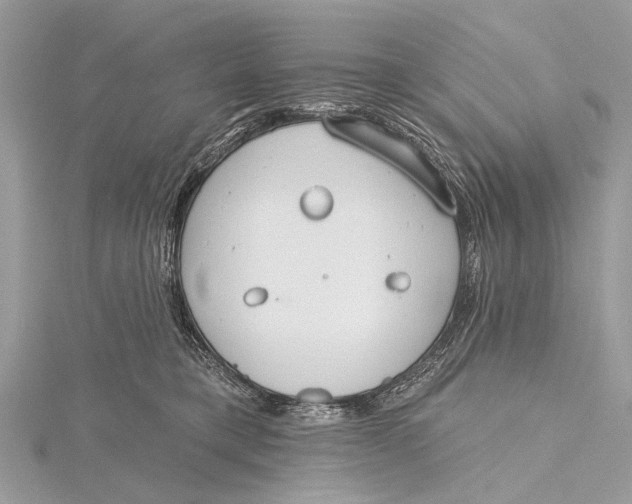 X0000115770421200912041435