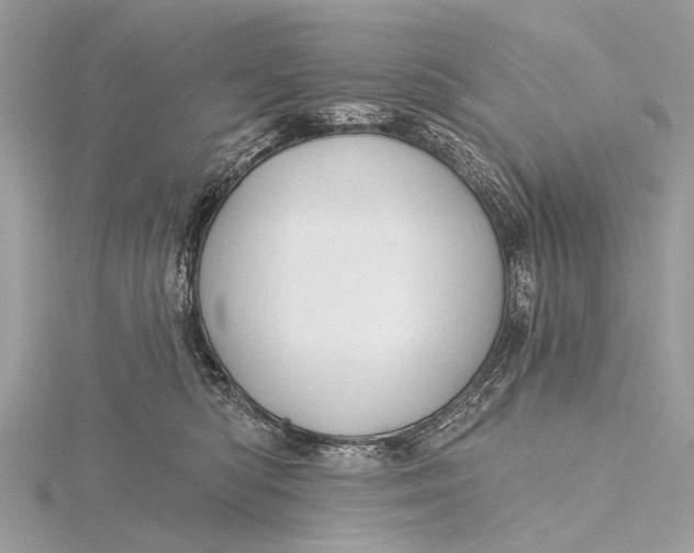 X0000115770422200912041435