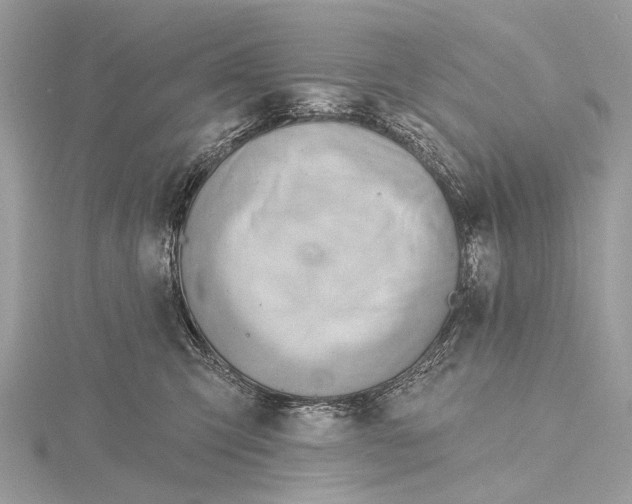 X0000115770423200912041435