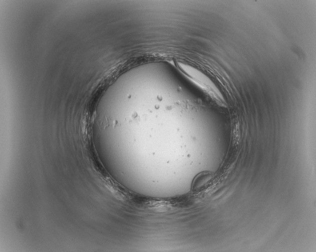 X0000115770424200912041435