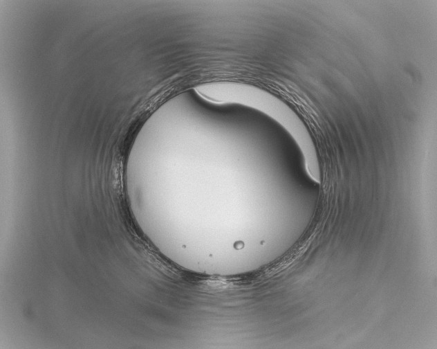 X0000115770425200912041435