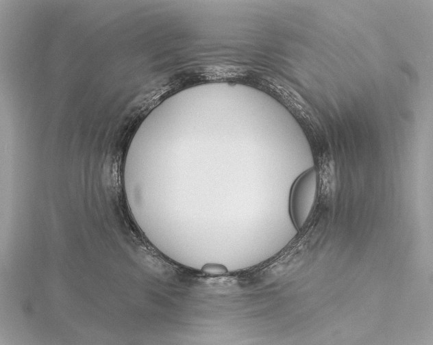 X0000115770426200912041435