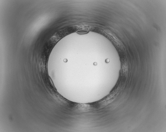 X0000115770429200912041435