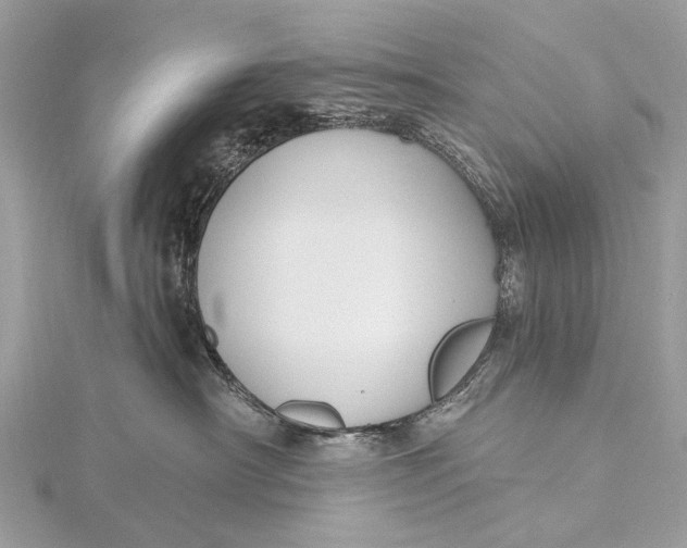 X0000115770430200912041435