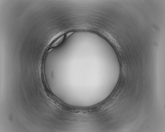 X0000115770434200912041434