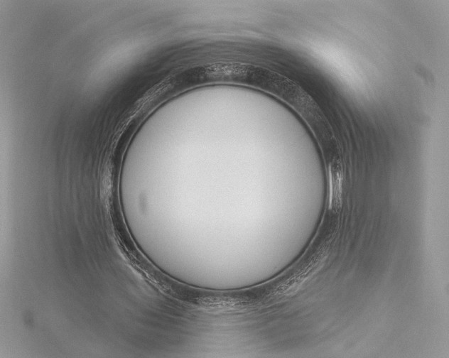 X0000115770435200912041434