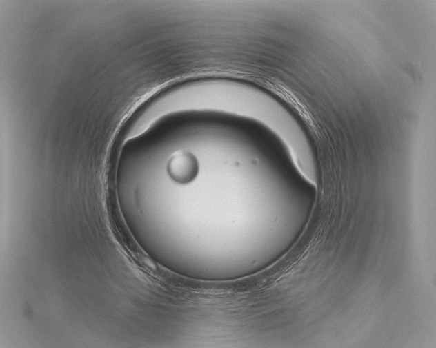 X0000115770436200912041434