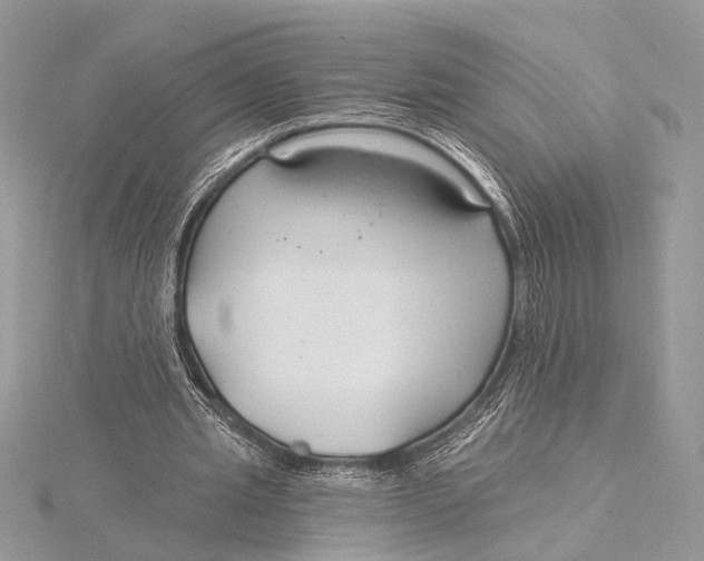 X0000115770437200912041434