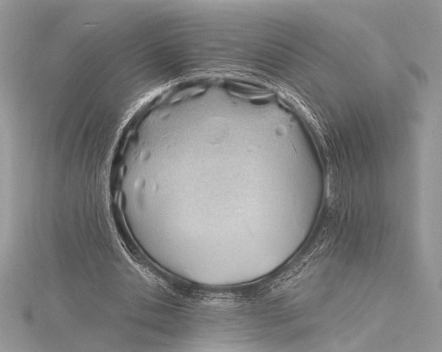 X0000115770438200912041434