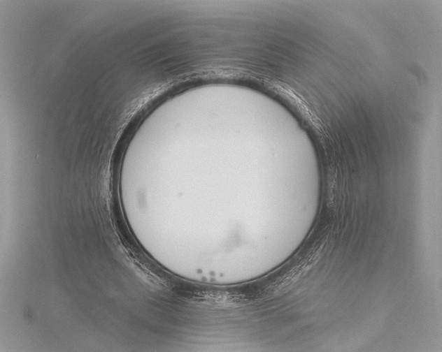 X0000115770439200912041434