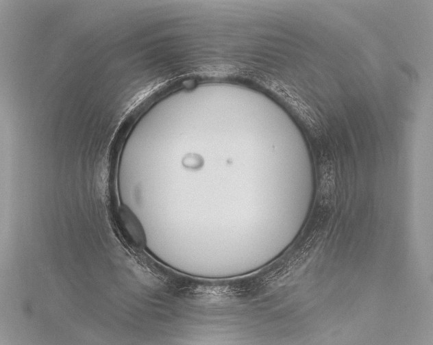 X0000115770440200912041435