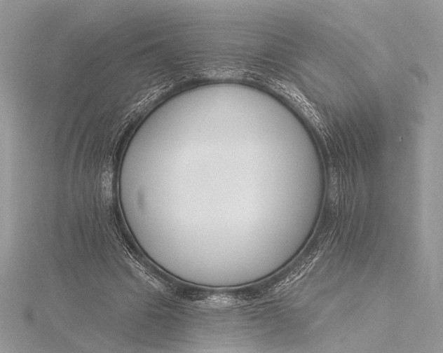 X0000115770441200912041435