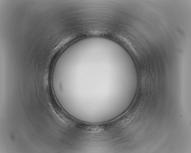 X0000115770443200912041435