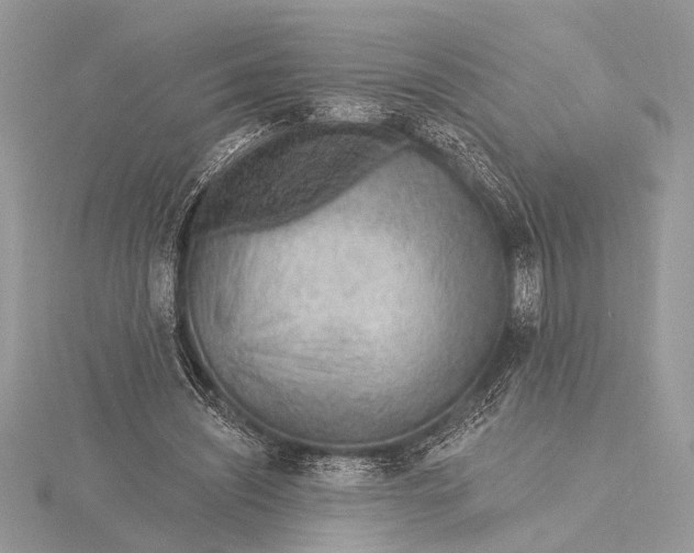 X0000115770444200912041435