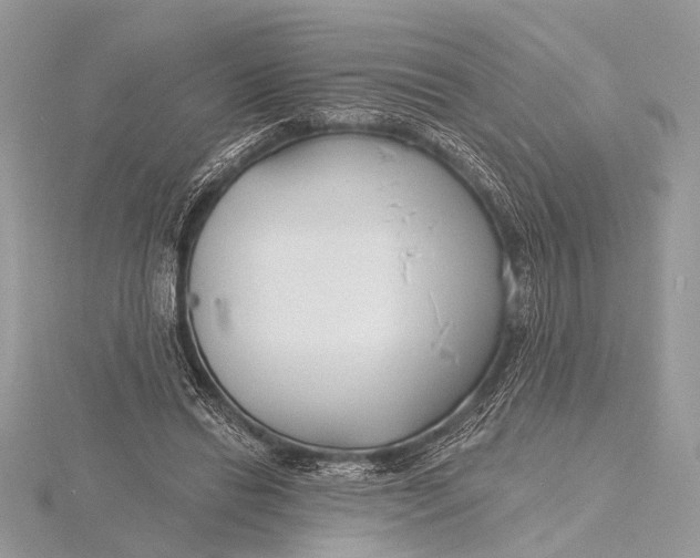 X0000115770446200912041435