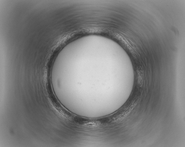 X0000115770447200912041435