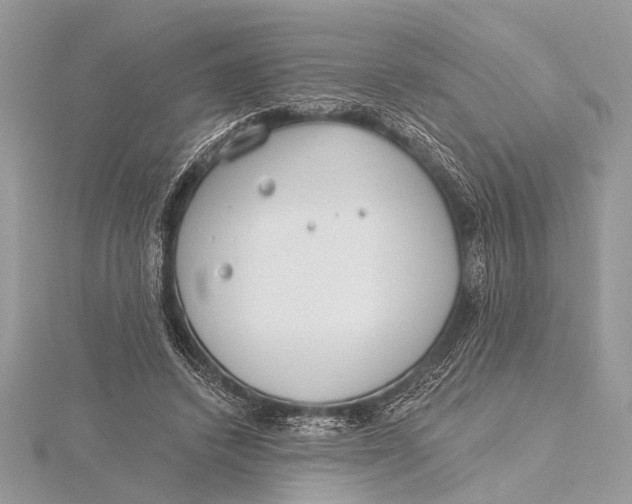 X0000115770448200912041435