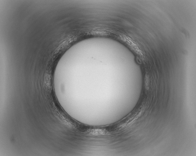 X0000115770449200912041435