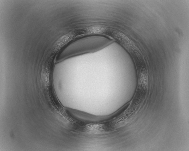 X0000115770452200912041435