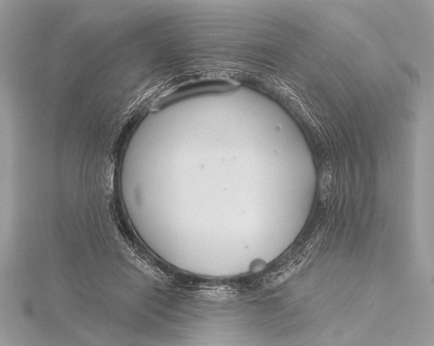 X0000115770454200912041435