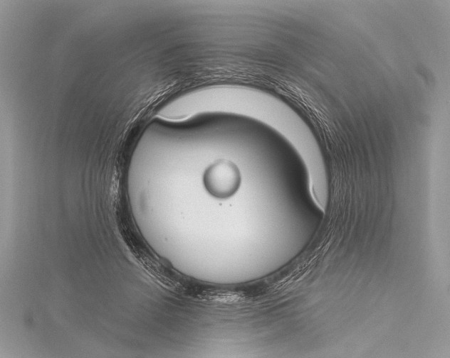 X0000115770456200912041435