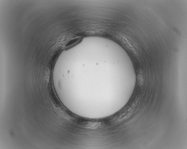 X0000115770458200912041435