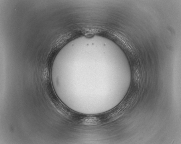 X0000115770459200912041435