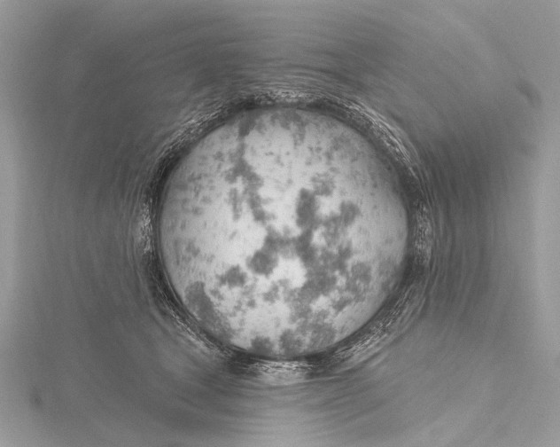 X0000115770465200912041435