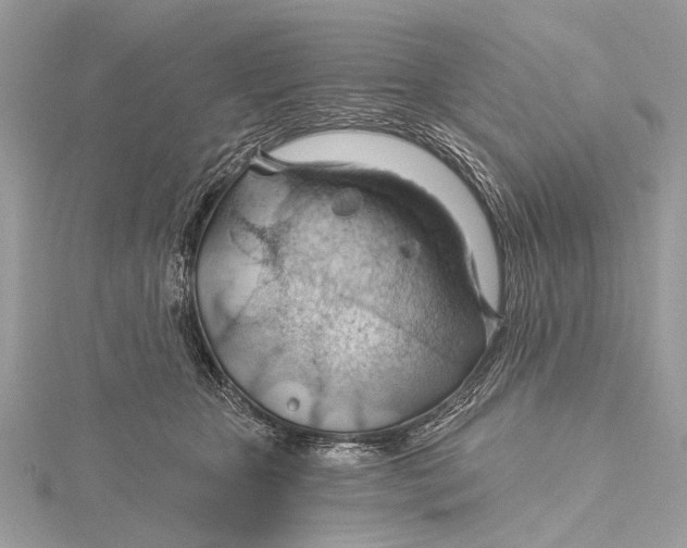 X0000115770467200912041435