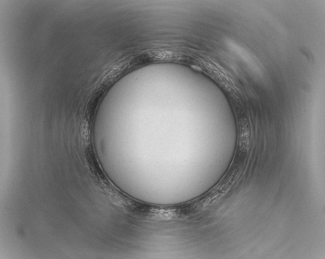 X0000115770469200912041435