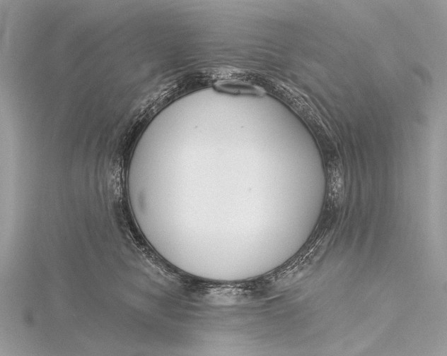 X0000115770470200912041435